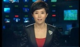 厦门卫视新闻爆料,揭秘重大新闻事件背后真相